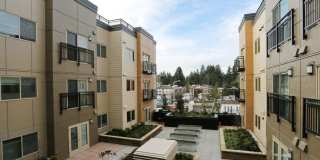 The Savoy at Lake City - 55+ Senior Living Community Gallery 13