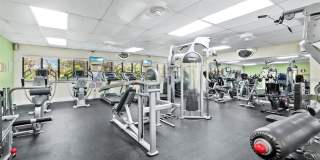 712 WHITE PINE TREE ROAD Gallery 39