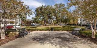 Harmony Oaks Gallery 17