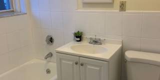 No Fee!  Gorgeous Comm Ave Apt by T!  Modern Appliances.  Cat & Small Dog OK Gallery 7
