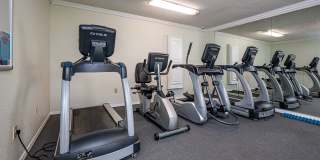 Diamond Lakes Apartment Homes Gallery 22
