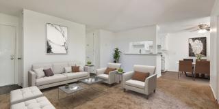 Knollbrook Falls Gallery 16