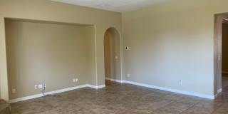 31264 N 133rd Lane Gallery 15