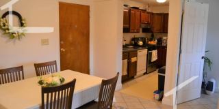 Great 2-bed with Pool!  Ht + HW Incl., 2 Parking Spots Included.  Cat Friendly Gallery 11