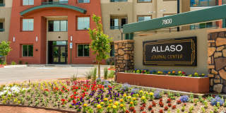 Allaso Journal Center Gallery 37