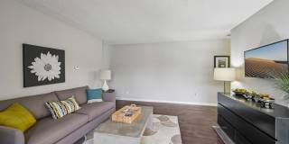 The Vista Apartments Gallery 16