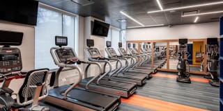 AVA Fort Greene Gallery 27