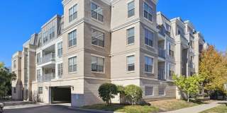 The Jerome Gallery 14