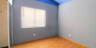 36805 Alder Street Gallery 16