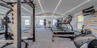 Spice Tree Gallery 17