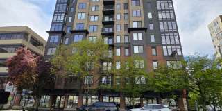 1Bd/1Ba Seattle Condo Gallery 1