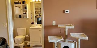 131 Hildred Dr Gallery 10