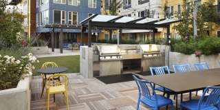 AVA Esterra Park Gallery 33