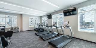 The Boulevard Gallery 32