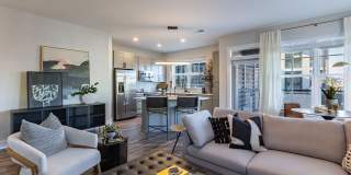 The Prospect Gallery 8