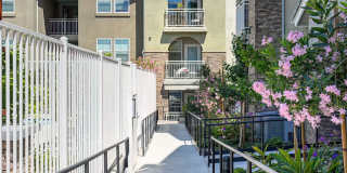 Vela Apartments Gallery 42