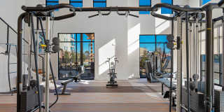 The Reid Gallery 20