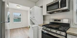 Hesperian Gallery 28