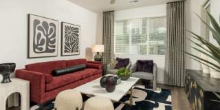The Moxie Gallery 6