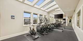 Arrive Magnolia Gallery 53