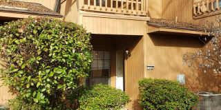 Remodeled 2 bedroom/1&1/2 bathroom in Eastwood on the Bayou Gallery 14