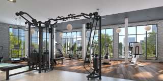 Novel Edgehill Gallery 31