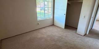 Rare 3 Bed / 2 Bath with Huge Backyard! Gallery 13