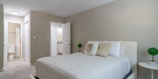 Ellwood Pines Gallery 7