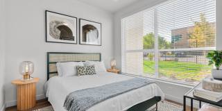 Linden Hill Gallery 5