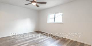 15410 Wood Sorrel Gallery 20