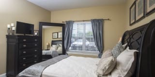 Ibis Trail Gallery 6