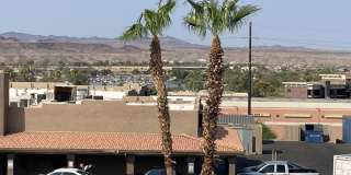 256 S Lake Havasu Ave Gallery 20