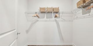 Ascend at Carlton Gallery 59