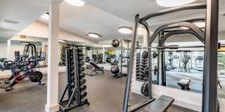 Skyline at Murrayhill Gallery 17