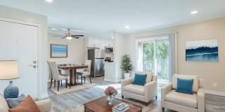 Amber Ridge Gallery 1