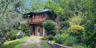East AVL - Beautiful Zen Garden Apt with Sauna! Gallery 1