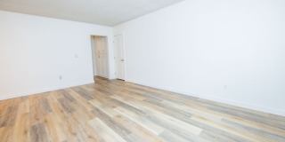 Citrus Gardens Gallery 6