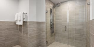 The Duchess Gallery 6