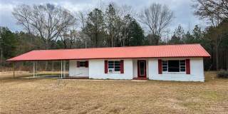 19465 Mobile Hwy., Georgiana Gallery 1