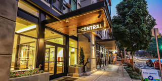 Central Gallery 29