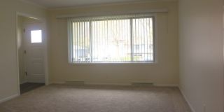63 Pine Court Gallery 3