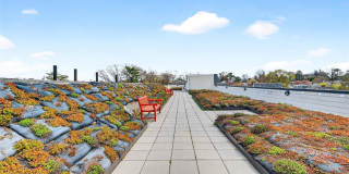 225 Stanley Avenue unit: 204 Gallery 38