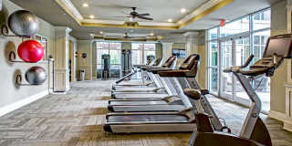 Boardwalk at Town Center Gallery 19