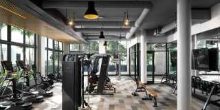 Cascade Link at Douglas Gallery 17