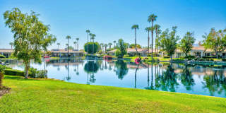 80504 Pebble Beach Gallery 46