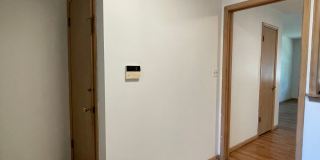 {731} Convenient Location + Full basement + 2 Car Tandem Garage Gallery 6