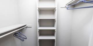 The Lynx The Lynx Gallery 17