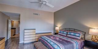 836 E Camino Diestro Gallery 42