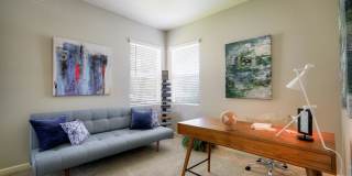 Coventry Park Gallery 14