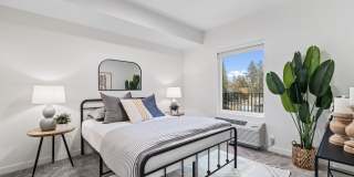 The Oliveen Gallery 6